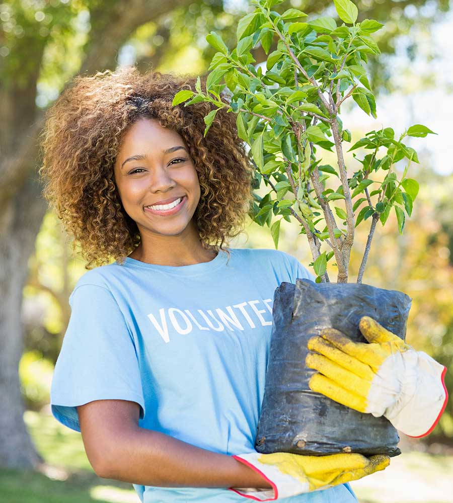 Volunteer smiling while holding a young tree to be planted